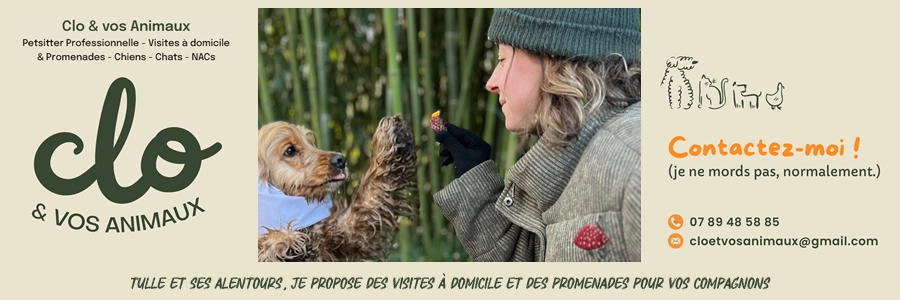 Corrèze découverte - Promo - Clo et vos animaux - Petsitter Tulle 19