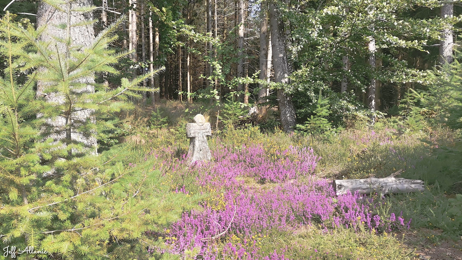 Corrèze découverte - Jeff Allanic - Générateur de micros aventures - Ptit Corrézien - été 2025 - Photo chapitre 2