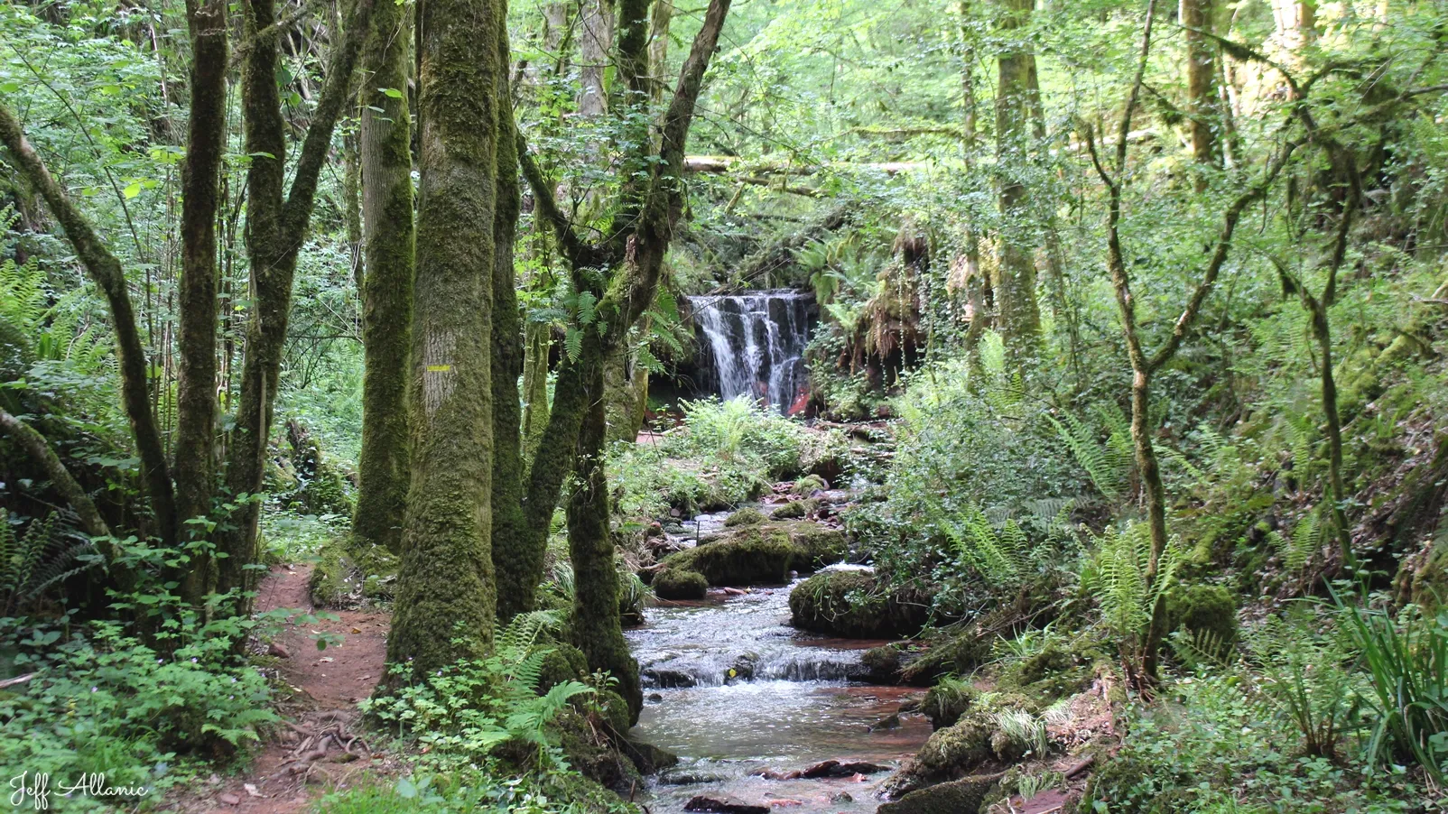 Les Cascades Du Saut De La Cour Corr ze D couverte Les Cascades Du Saut De La Cour Corr ze D couverte